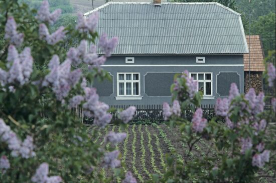 Krukenichsky State Farm