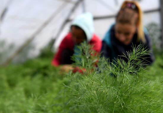 Ukraine Agriculture