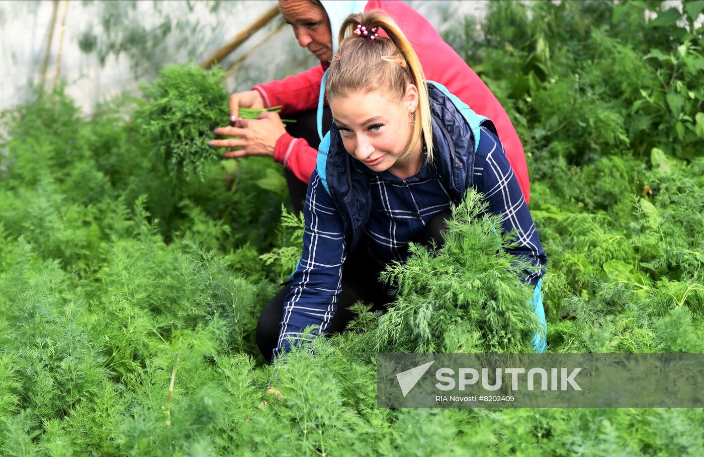 Ukraine Agriculture