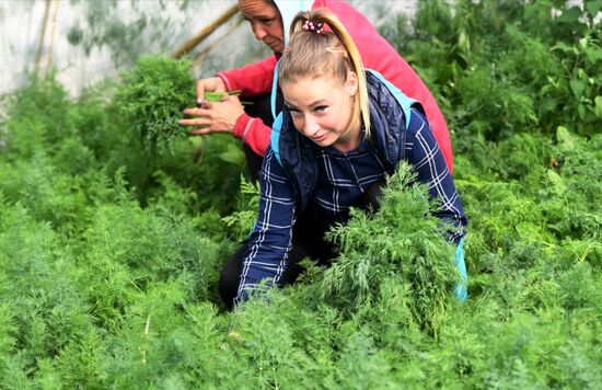 Ukraine Agriculture