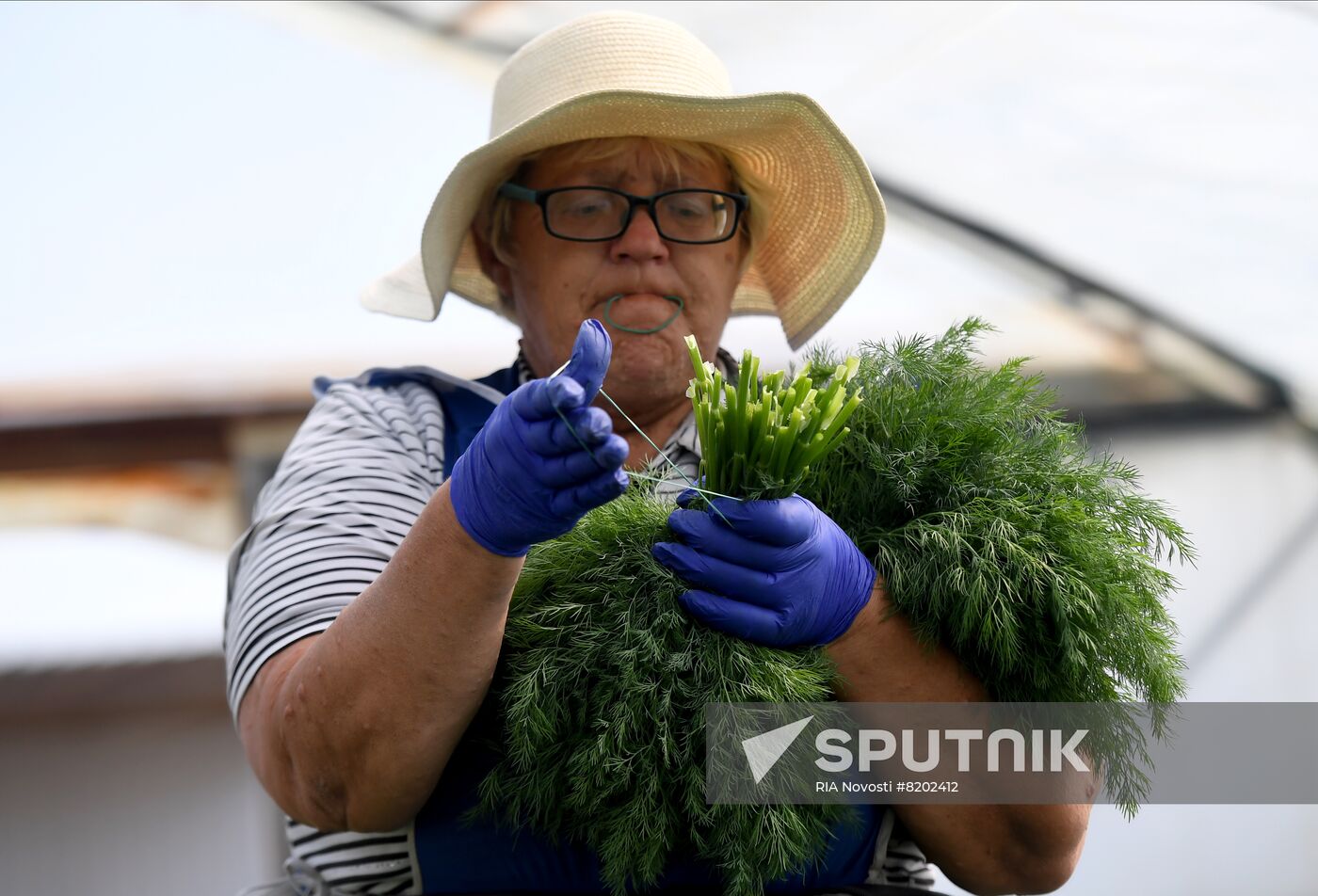 Ukraine Agriculture