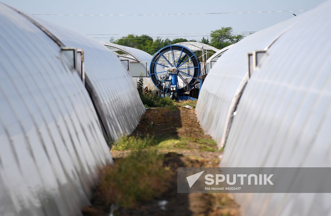 Ukraine Agriculture