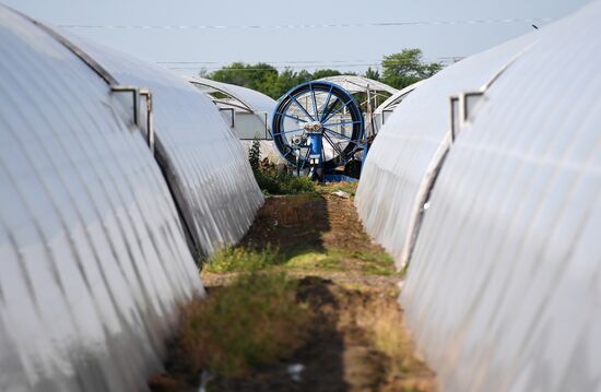 Ukraine Agriculture