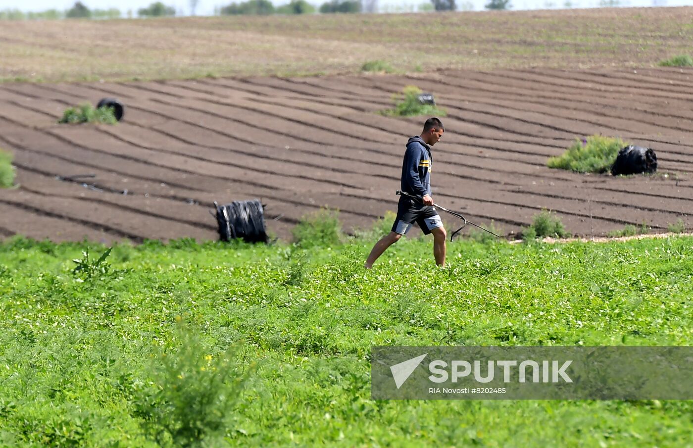 Ukraine Agriculture