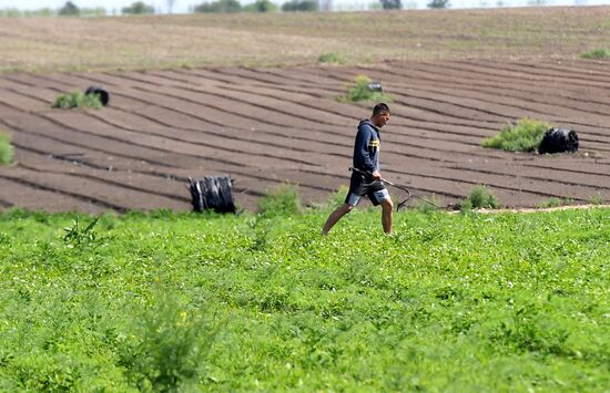 Ukraine Agriculture