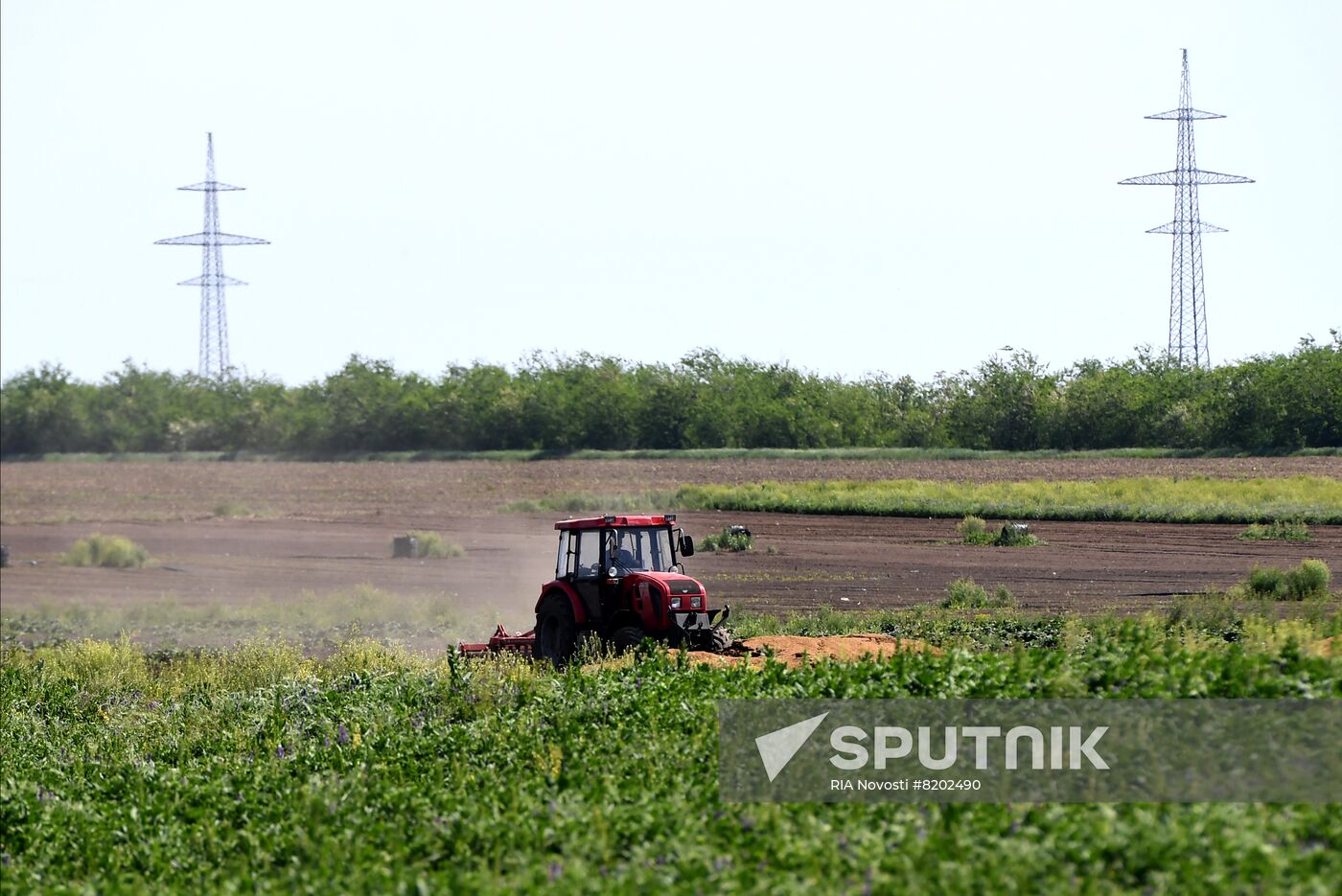 Ukraine Agriculture