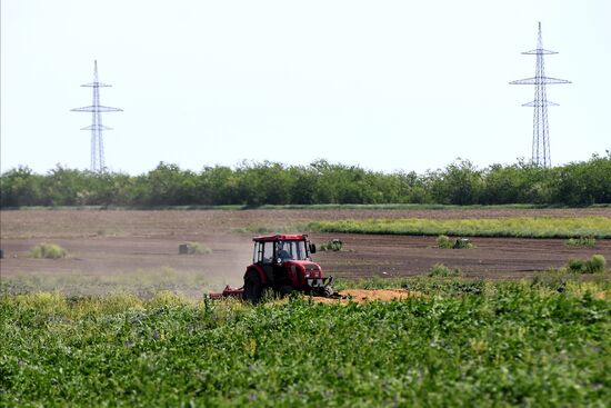 Ukraine Agriculture