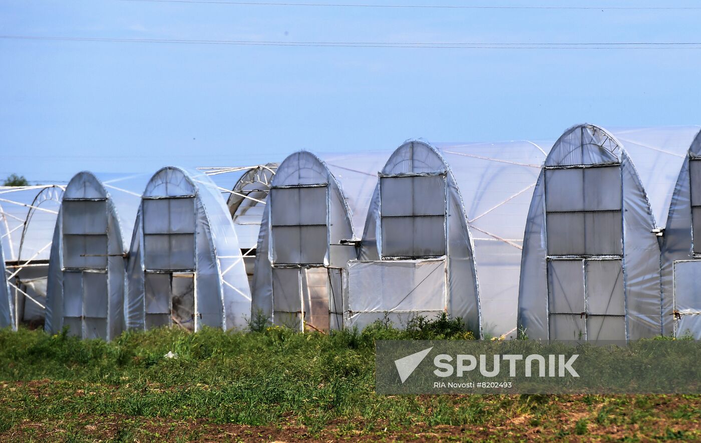 Ukraine Agriculture