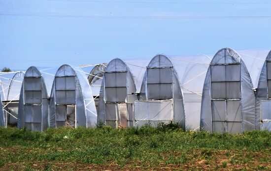 Ukraine Agriculture