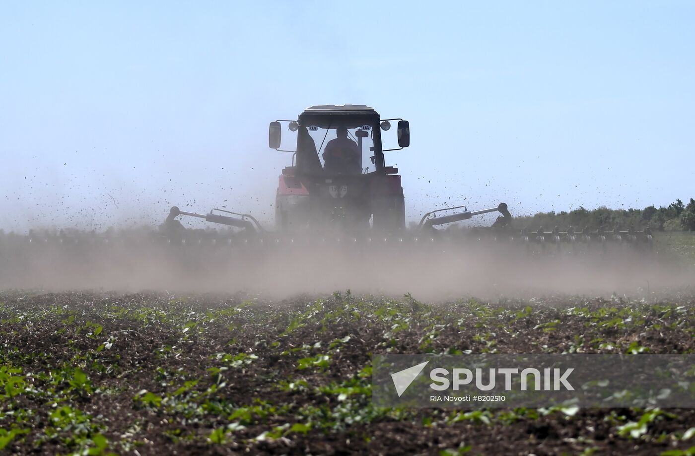 Ukraine Agriculture