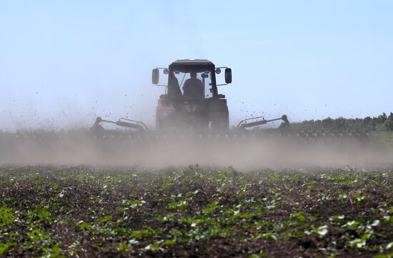 Ukraine Agriculture