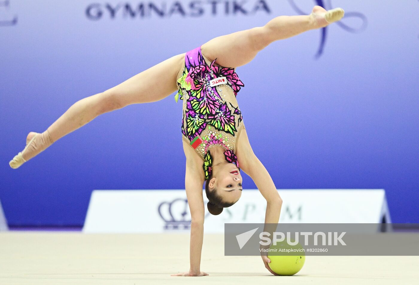 UAE Rhythmic Gymnastics Cup