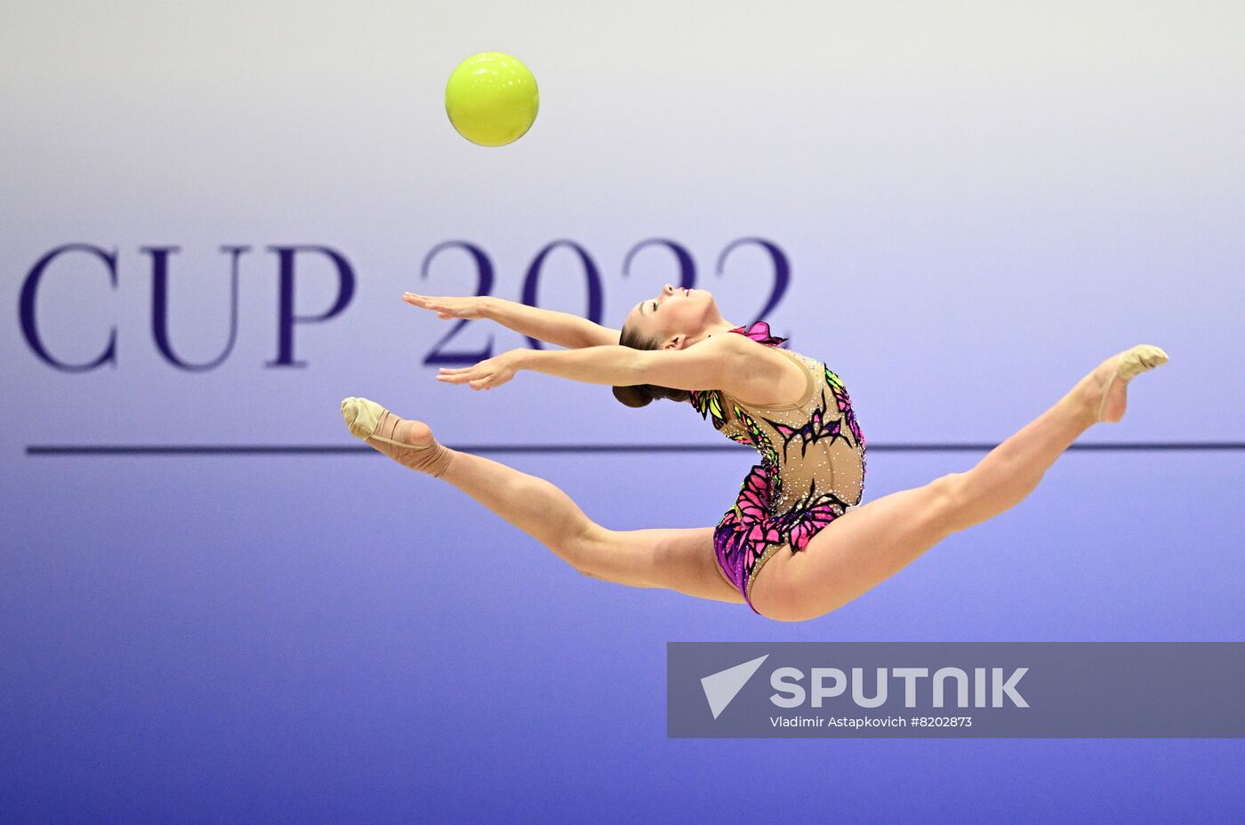 UAE Rhythmic Gymnastics Cup