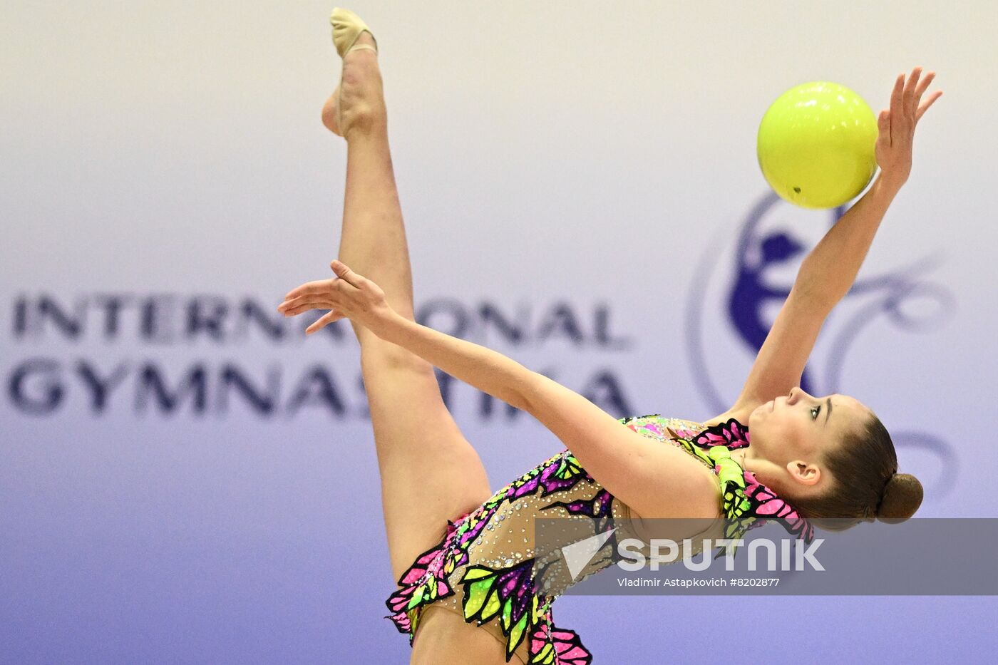 UAE Rhythmic Gymnastics Cup