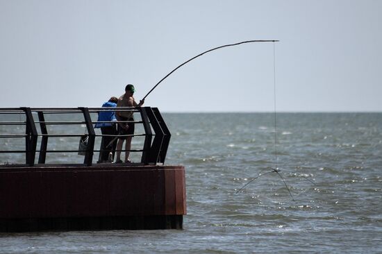 DPR Russia Ukraine Mlitiary Operation Daily