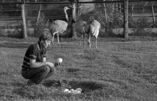 Zoo in Mena, Ukraine