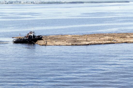 Rafting timber on the Northern Dvina