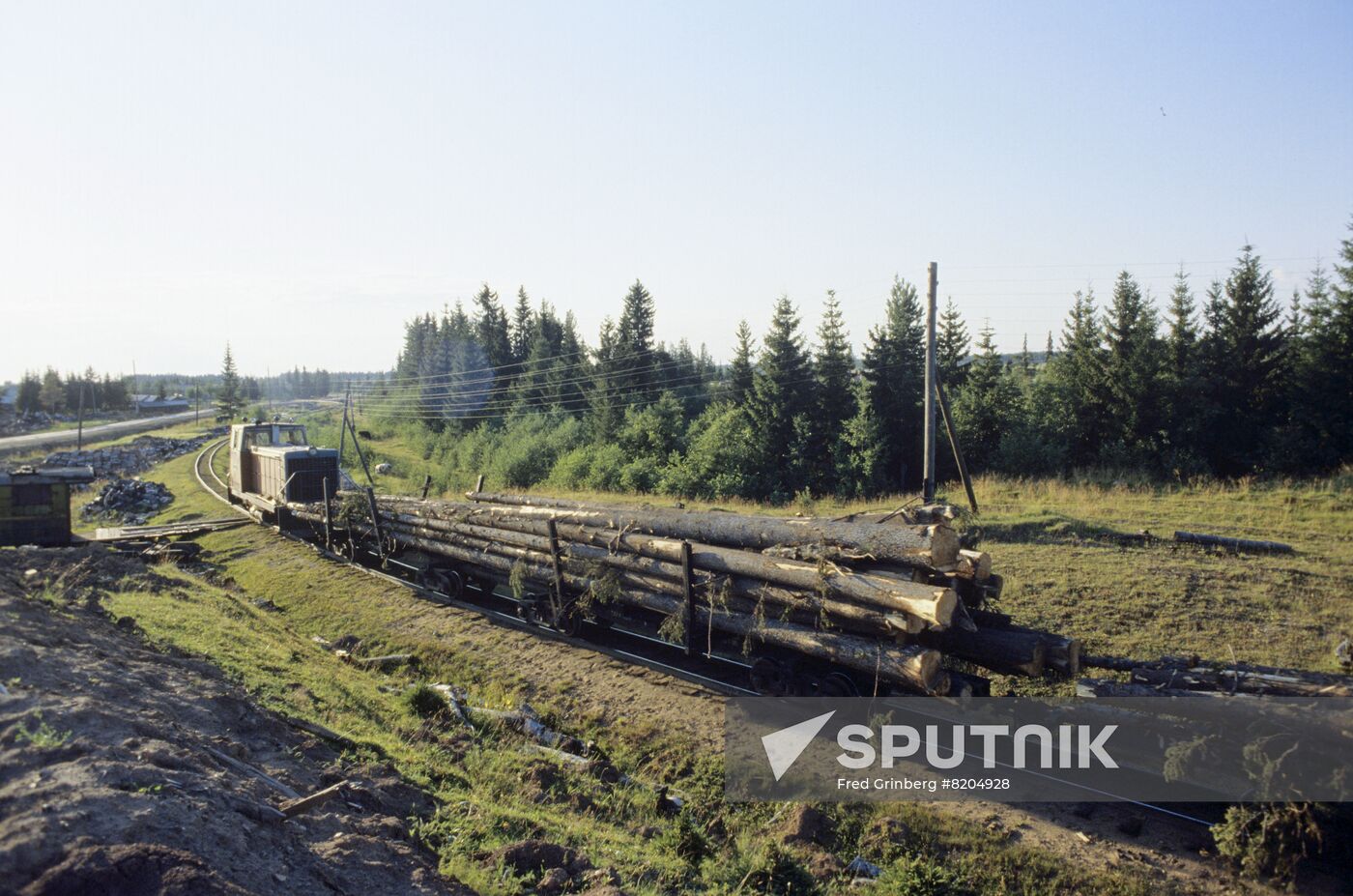 Removal of wood in Arkhangelsk Region