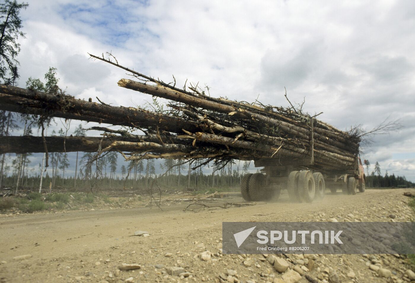 Removal of cut wood