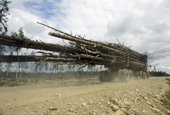 Removal of cut wood