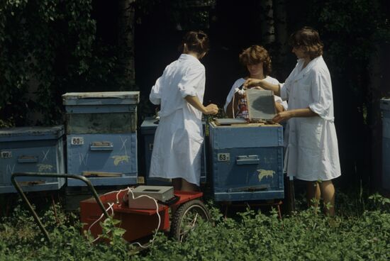 All-Union Bee-Keeping Scientific Research Institute