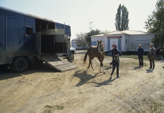 First Cavalry Army Horse-Breeding Plant