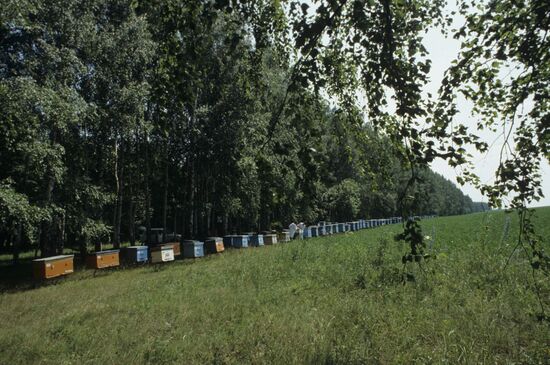 All-Union Bee-Keeping Scientific Research Institute