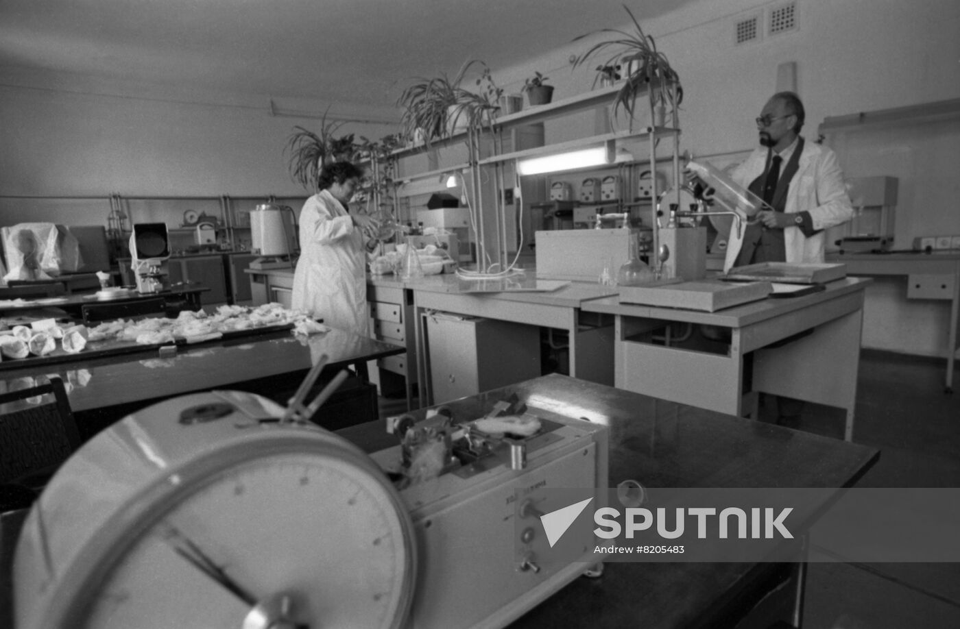 Scientific Research Institute of Sheep and Goat Breeding in Stavropol