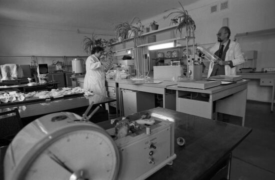 Scientific Research Institute of Sheep and Goat Breeding in Stavropol