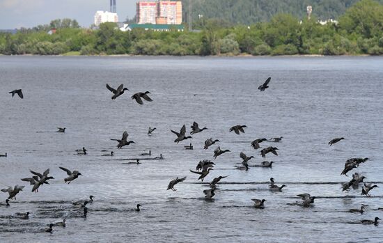Russia Daily Life