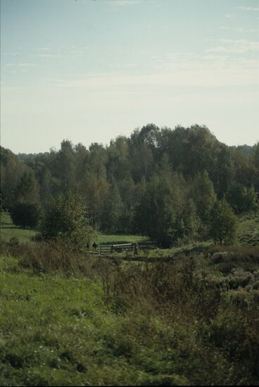 Bitsevo Forest