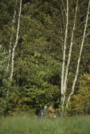 Bitsevo Forest