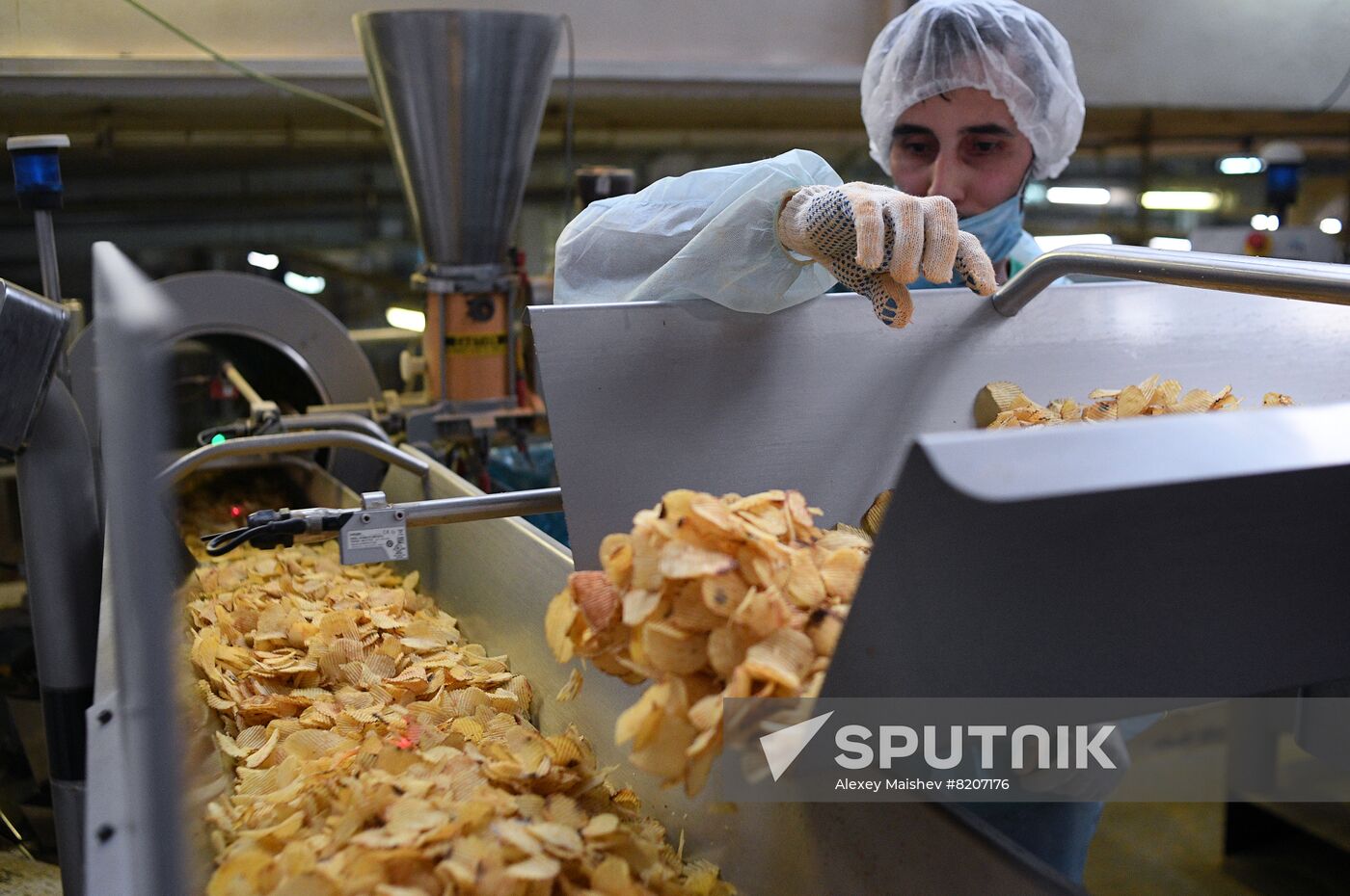 Russia Food Industry