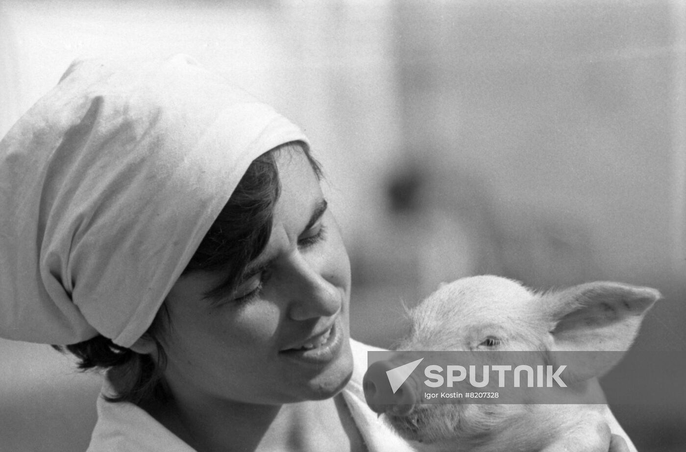 V. Krutikova, operator at livestock-breeding facility in Kiev Region