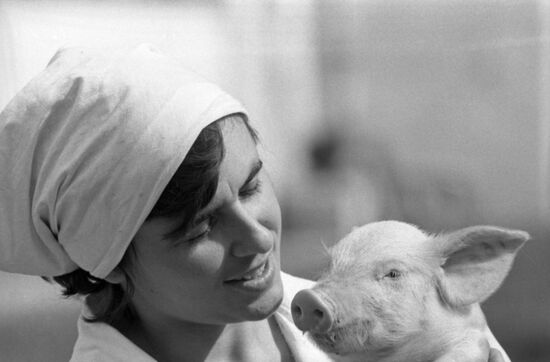 V. Krutikova, operator at livestock-breeding facility in Kiev Region