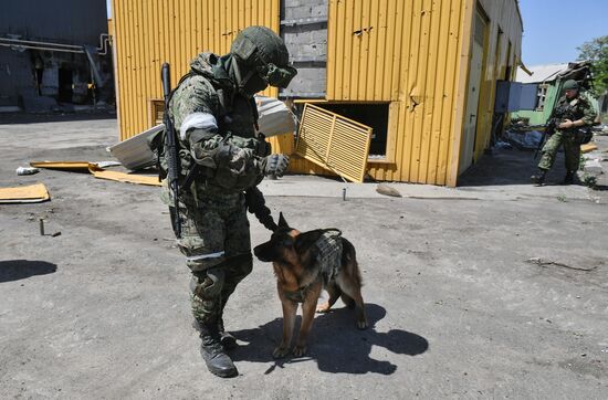 DPR Russia Ukraine Military Operation Demining