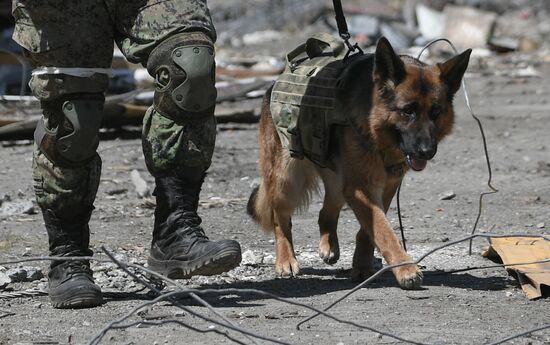 DPR Russia Ukraine Military Operation Demining