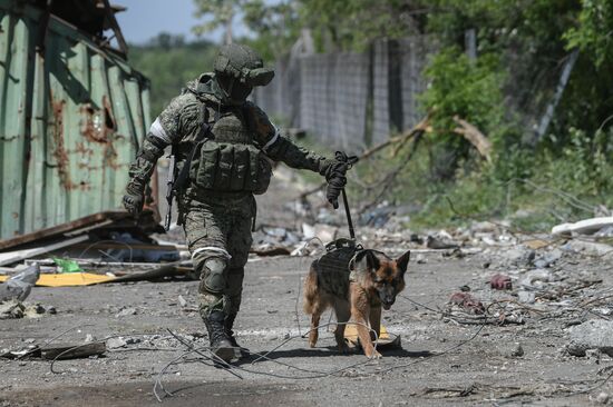 DPR Russia Ukraine Military Operation Demining