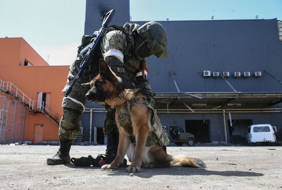 DPR Russia Ukraine Military Operation Demining