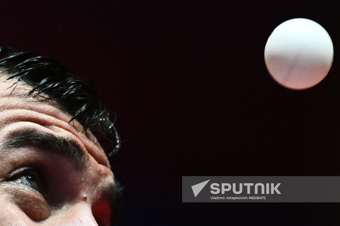Russia Table Tennis Top 16