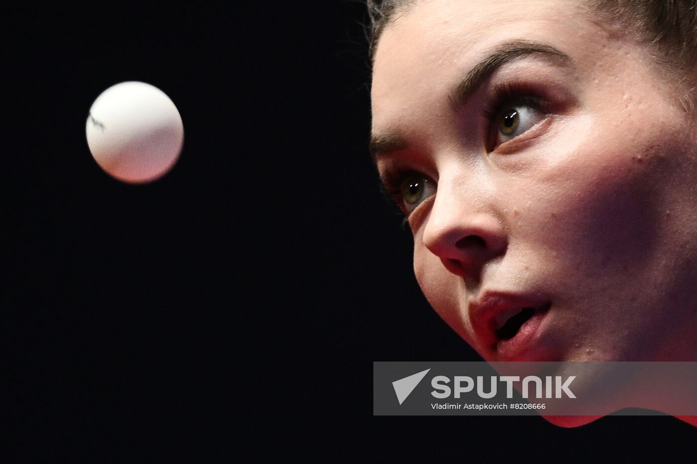 Russia Table Tennis Top 16