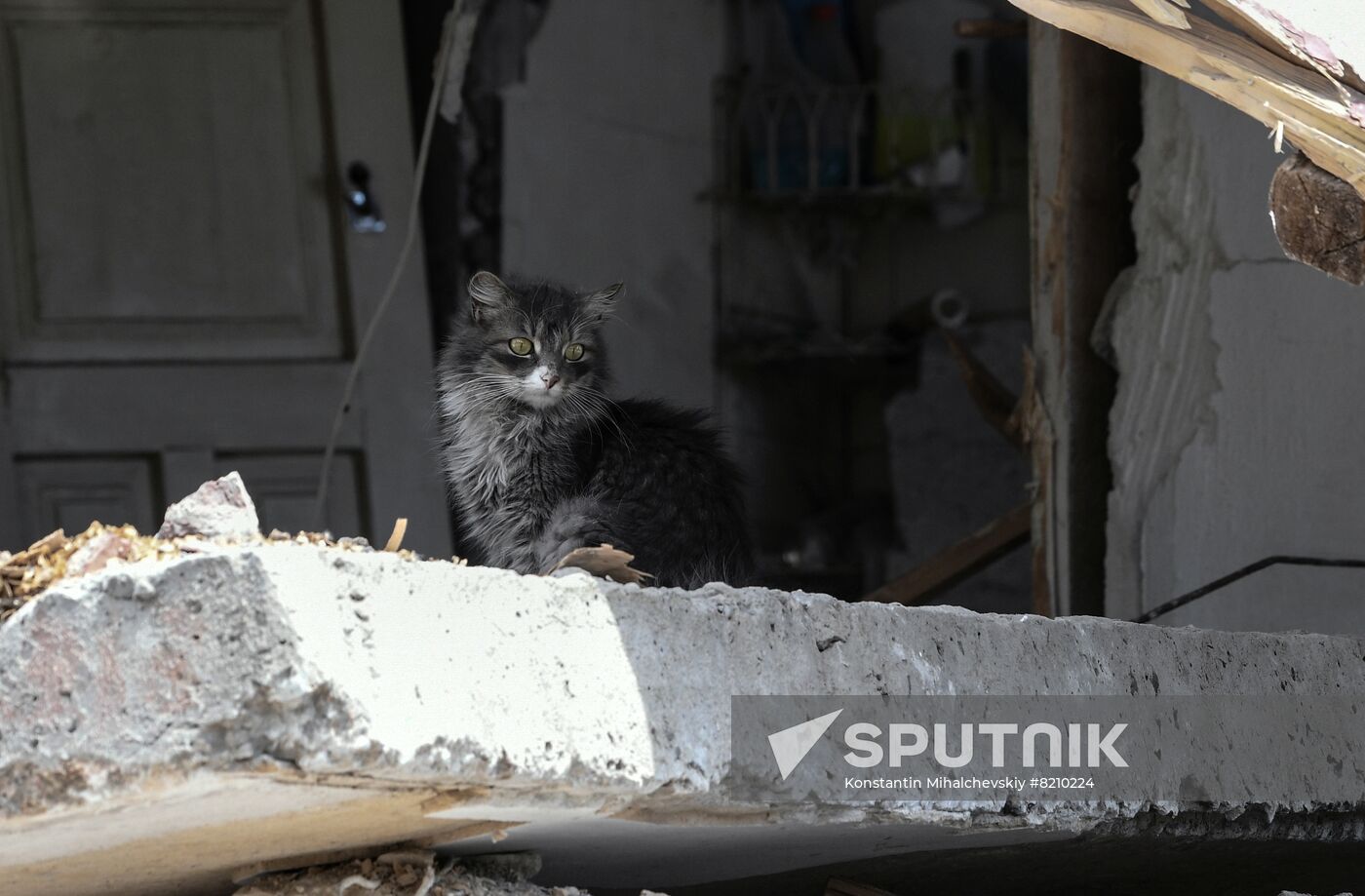DPR Russia Ukraine Military Operation Daily Life