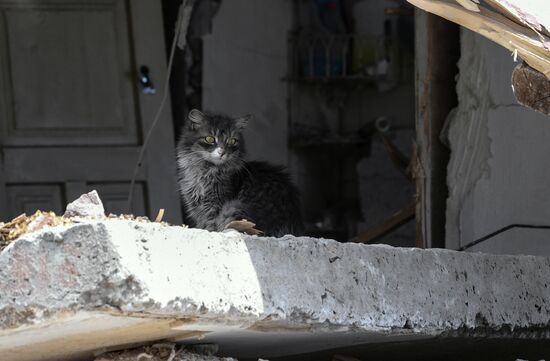 DPR Russia Ukraine Military Operation Daily Life