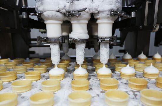 Russia Dairy Industry Ice Cream Production