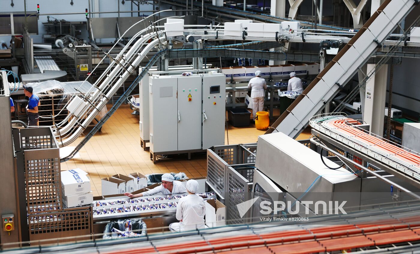 Russia Dairy Industry Ice Cream Production