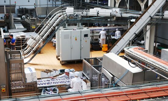 Russia Dairy Industry Ice Cream Production