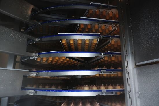 Russia Dairy Industry Ice Cream Production