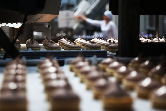 Russia Dairy Industry Ice Cream Production