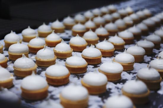 Russia Dairy Industry Ice Cream Production