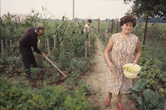 Hungarian district of Zakarpatskaya Region, Ukraine